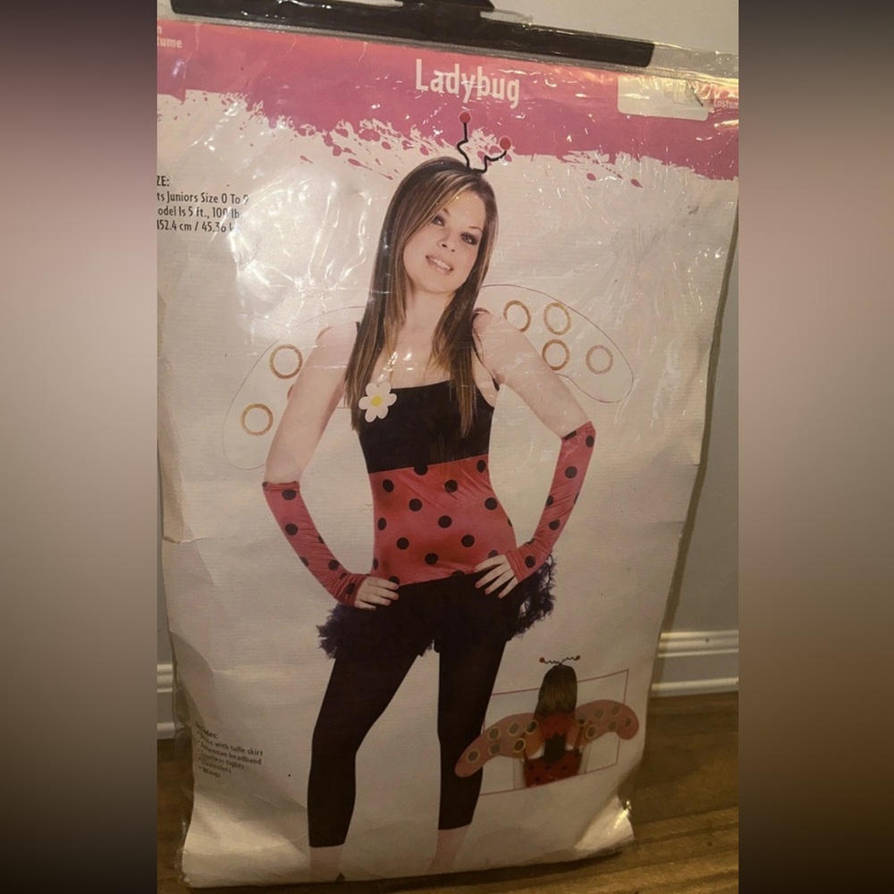 Ladybug Costume